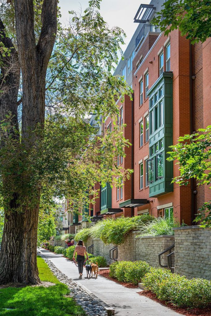 7 Best PetFriendly Apartments in Denver