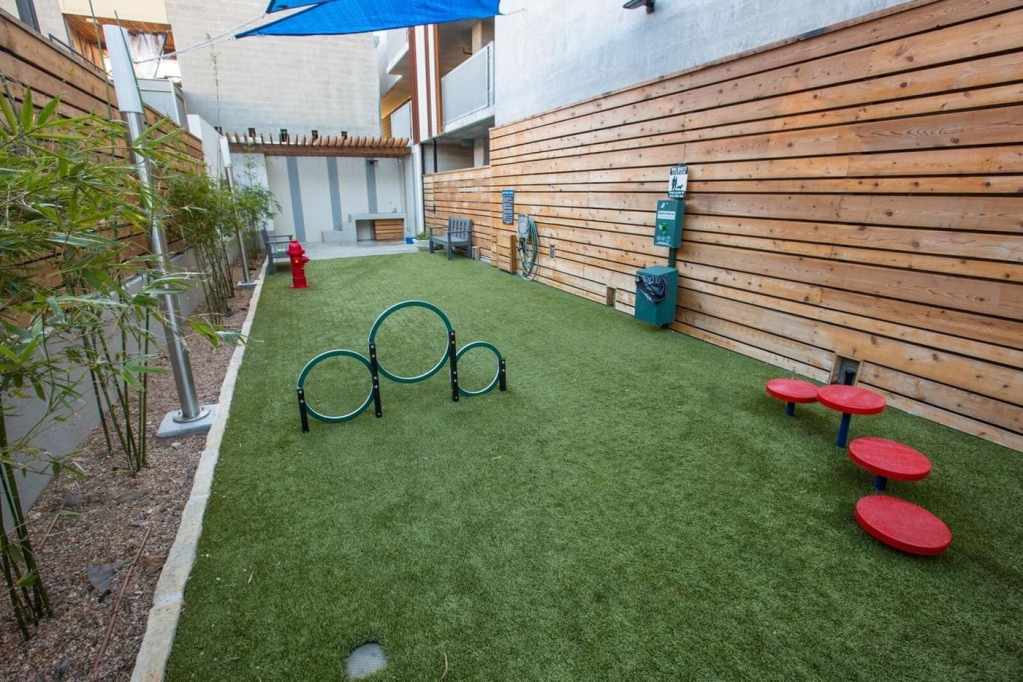 8 Austin Apartments with a View